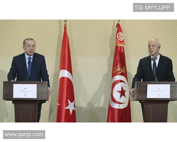 土耳其与突尼斯精彩对决回放分析及赛后点评