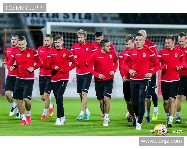 奥地利与格鲁吉亚足球对决分析及胜负推荐建议