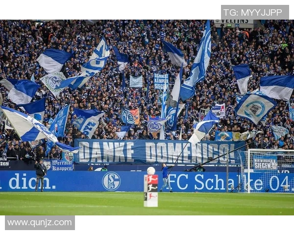 弗赖堡与门兴对决胜率分析及比赛前景展望