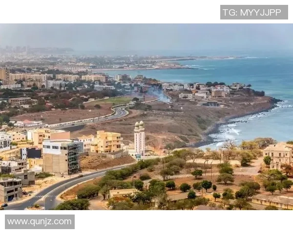 韩国与塞内加尔激战正酣精彩瞬间回顾与分析